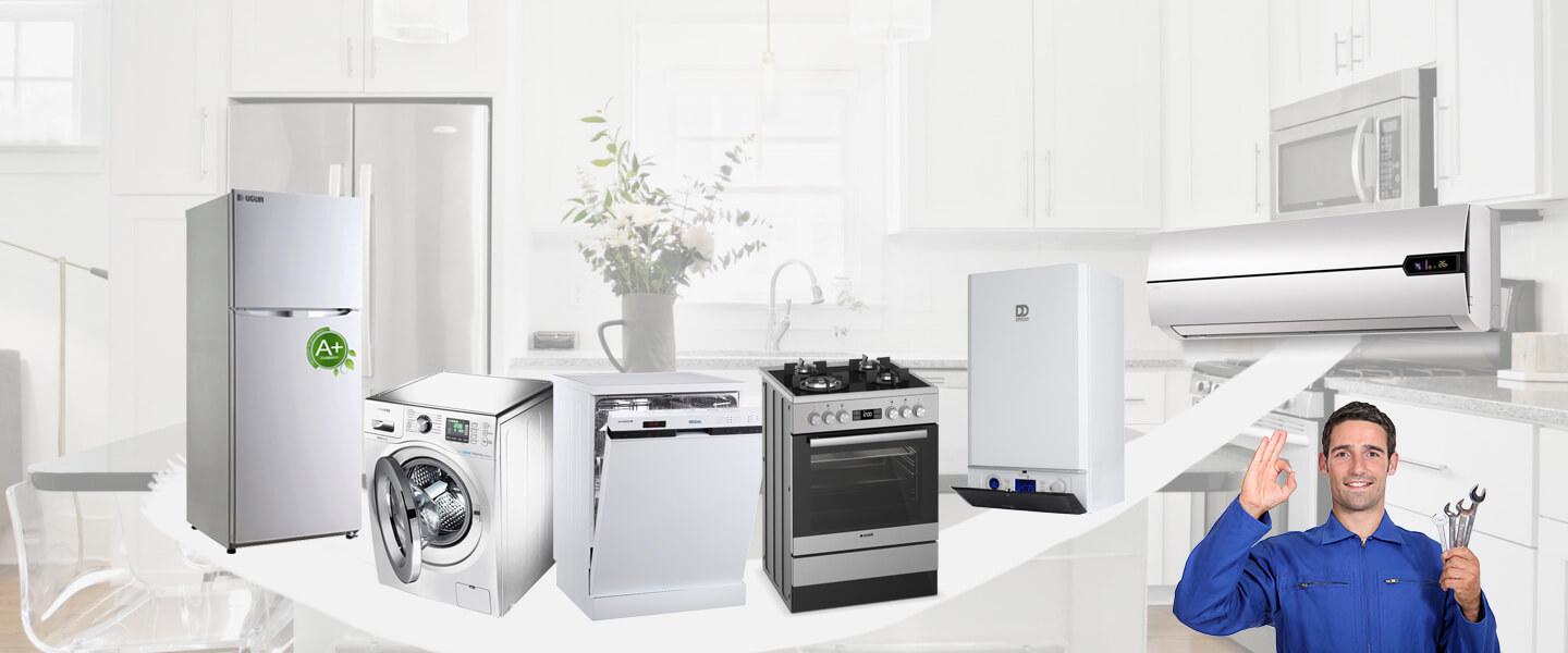 Ula Electrolux Servisi